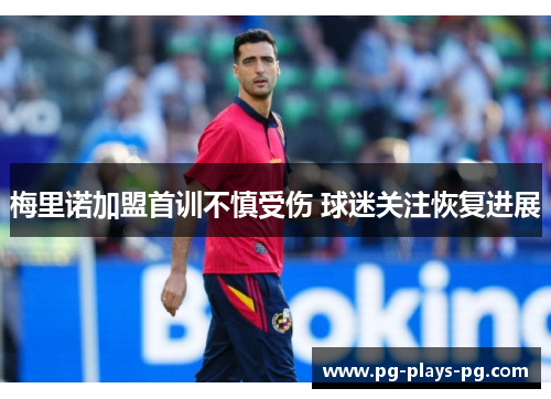 梅里诺加盟首训不慎受伤 球迷关注恢复进展